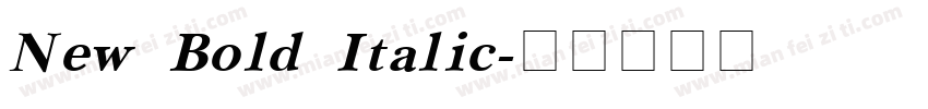 New Bold Italic字体转换